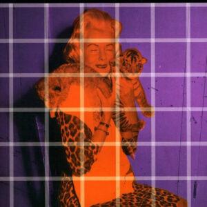 Sarah Falkner - Animal Sanctuary