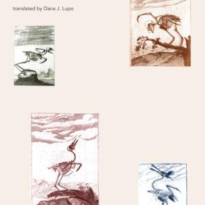 Gabriel de Foigny - The Known Southern Land