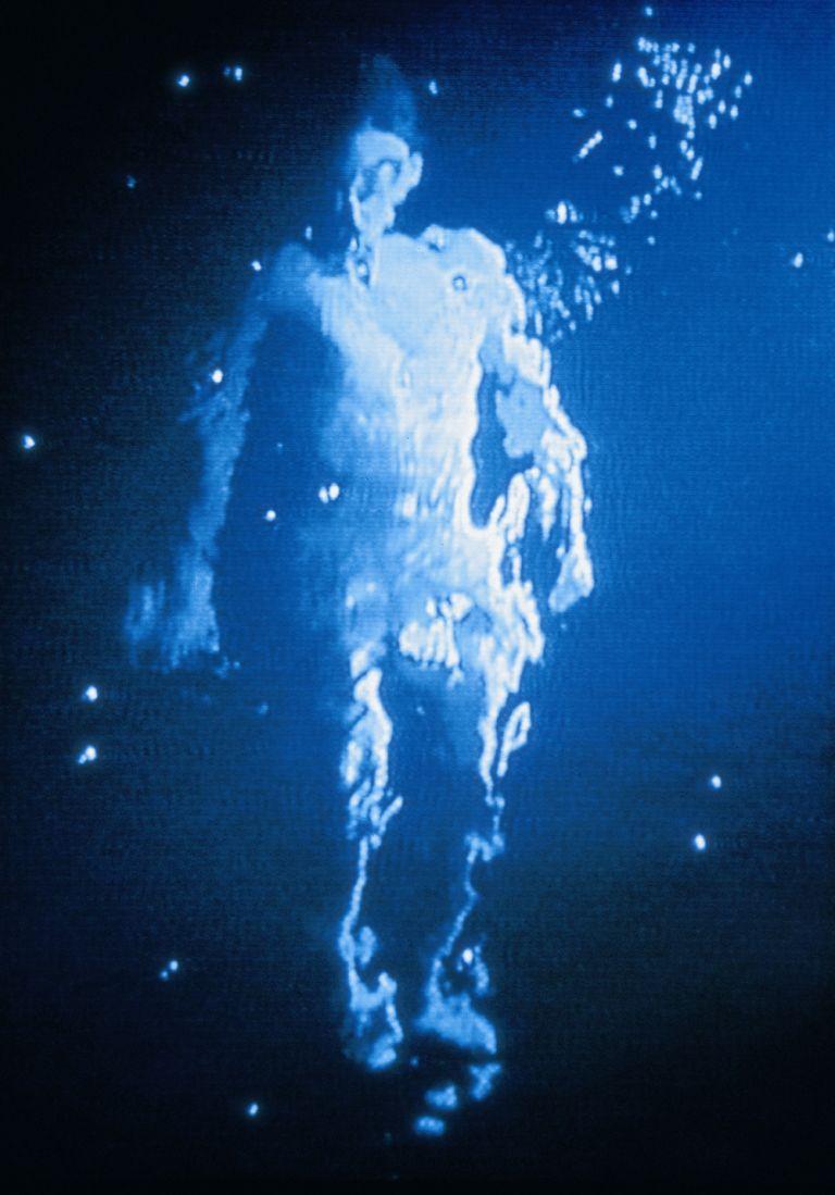 Bill Viola (as-is, no dustjacket)