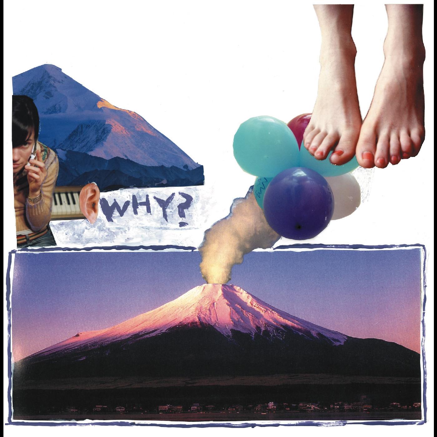 Why? – Elephant Eyelash