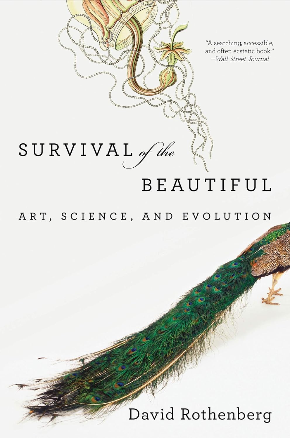 David Rothenberg - Survival of the Beautiful: Art, Science, and Evolution
