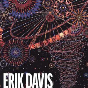 Erik Davis - Nomad Codes: Adventures in Modern Esoterica