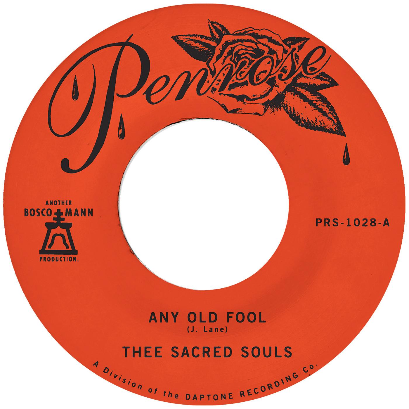 Torn Light Records › 7″