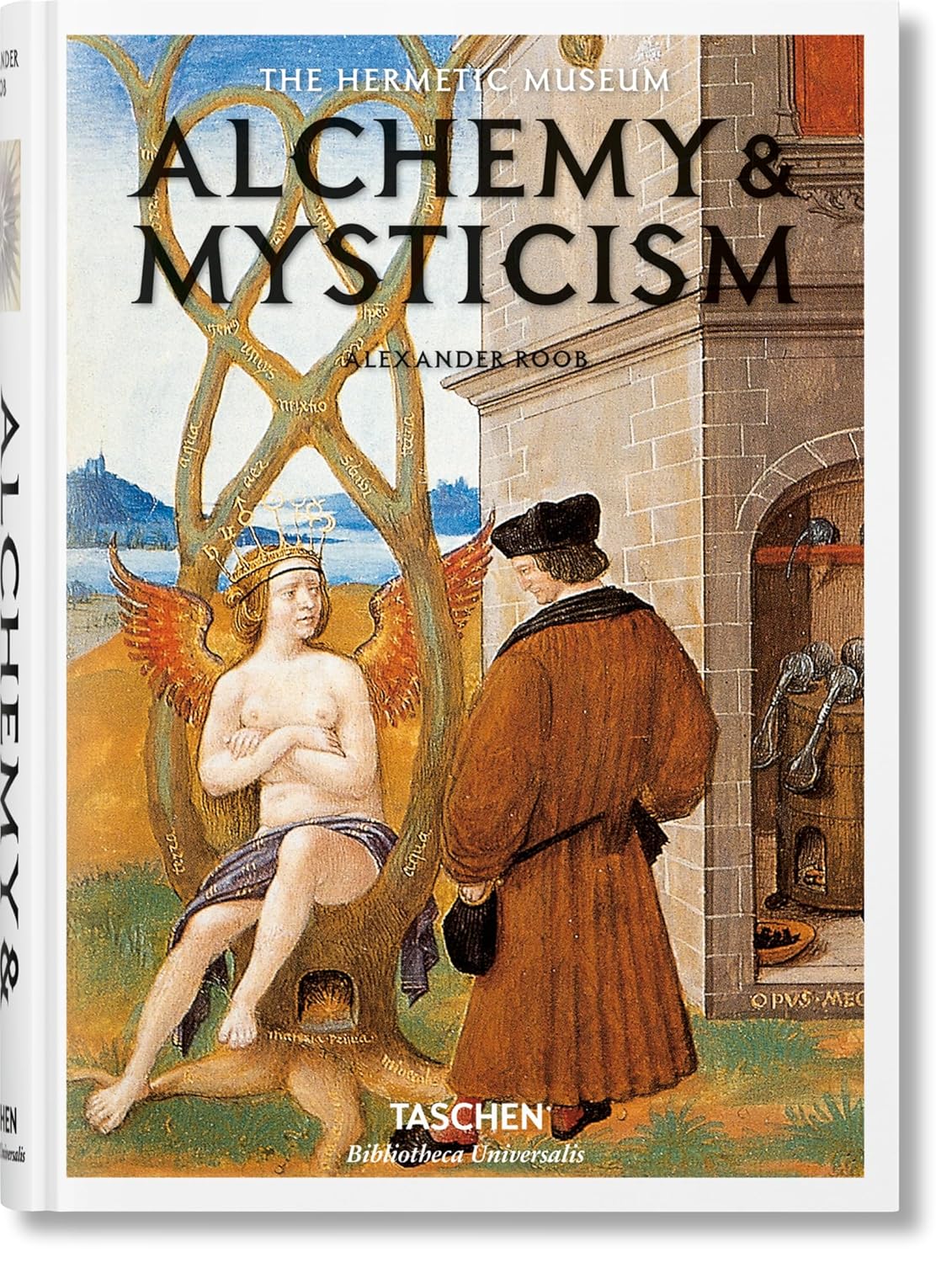 Alchemy and Mysticism: The Hermetic Museum