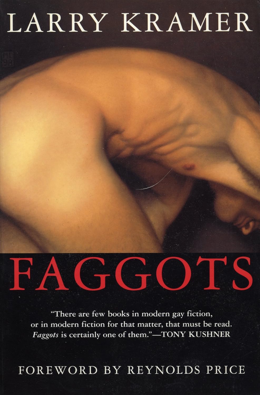 Larry Kramer - Faggots