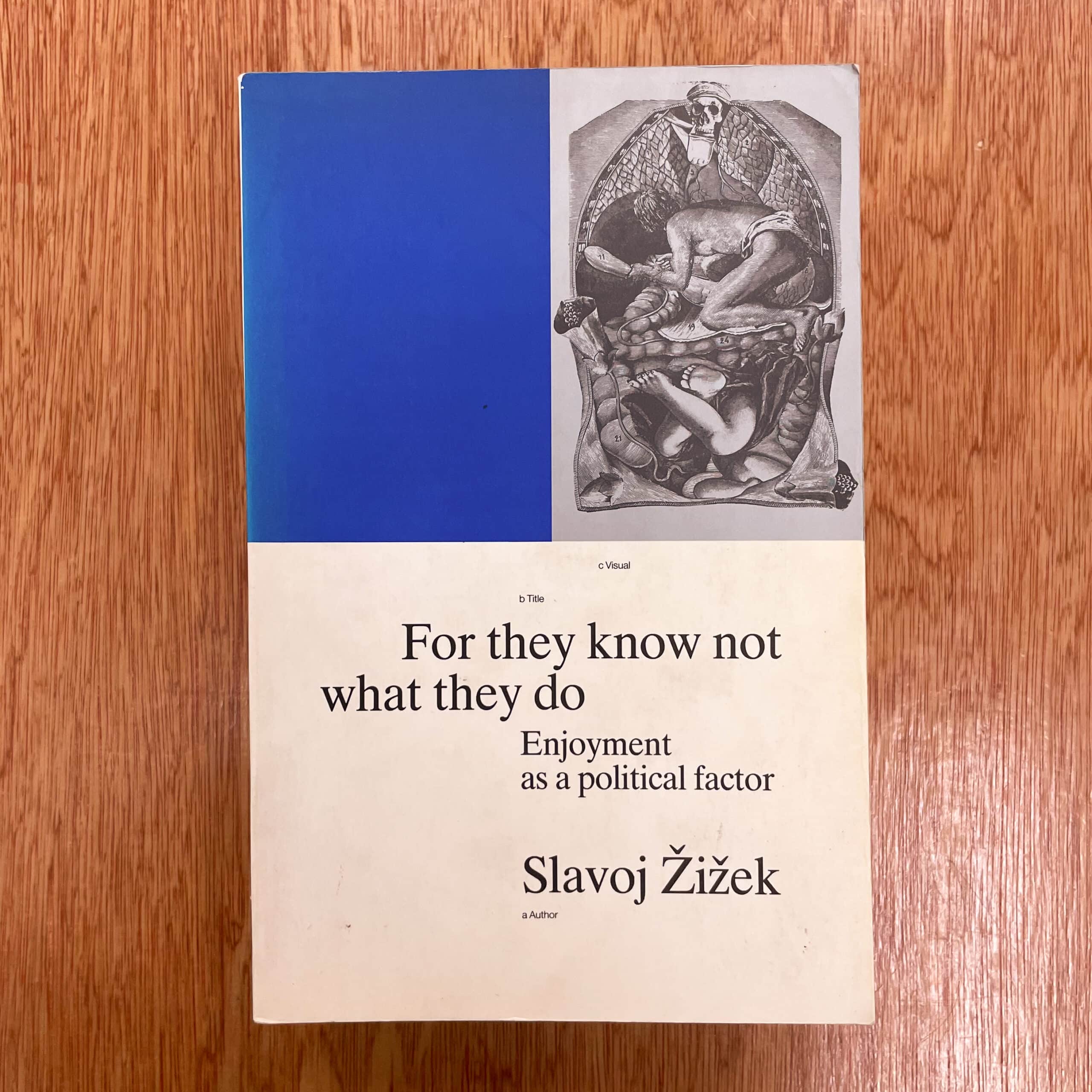 Slavoj Zizek - For They Know Not What They Do: Enjoyment as a Political Factor