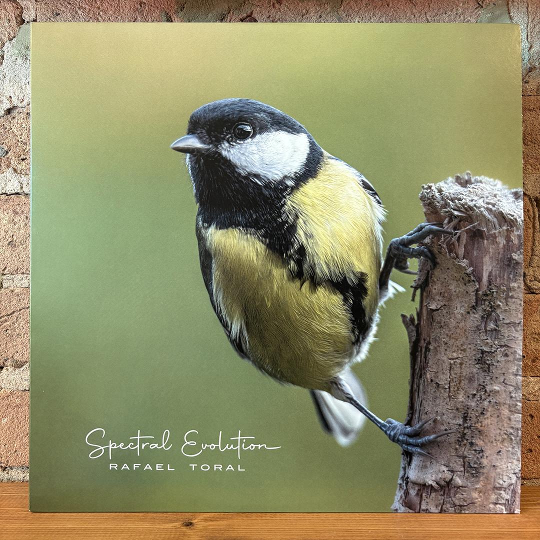 Rafael Toral – Spectral Evolution