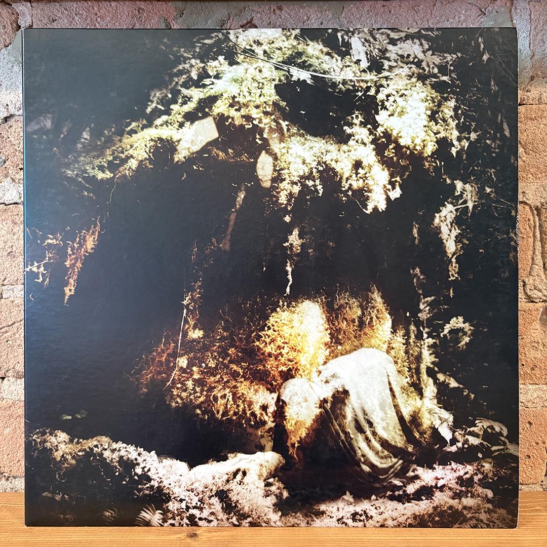 Wolves In The Throne Room – Celestial Lineage