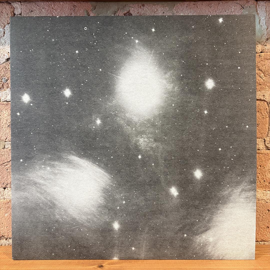 Grouper – A I A : Alien Observer