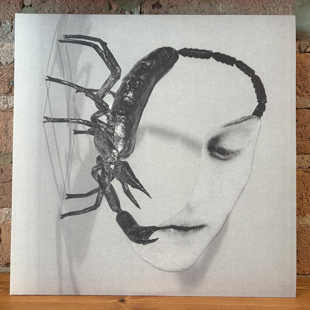 Tortoise – Touch