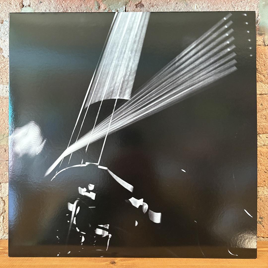 Arnold Dreyblatt, The Orchestra Of Excited Strings – Resolve