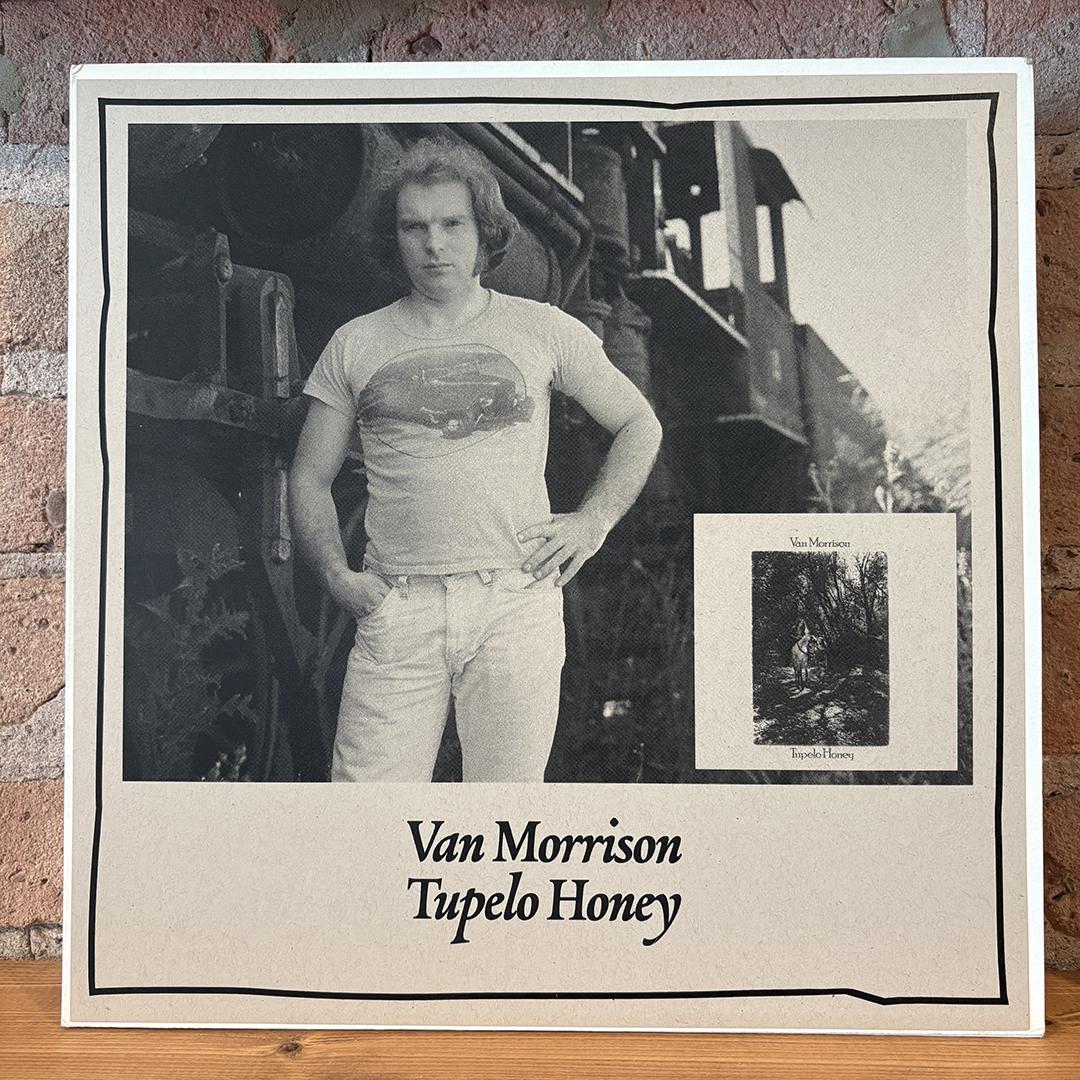 Van Morrison – Tupelo Honey (Custom Cover)