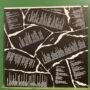 Social Distortion – Social Distortion (1990 US Pressing) - Image 6