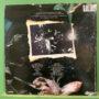 The Damned – Final Damnation (Green Vinyl) - Image 2