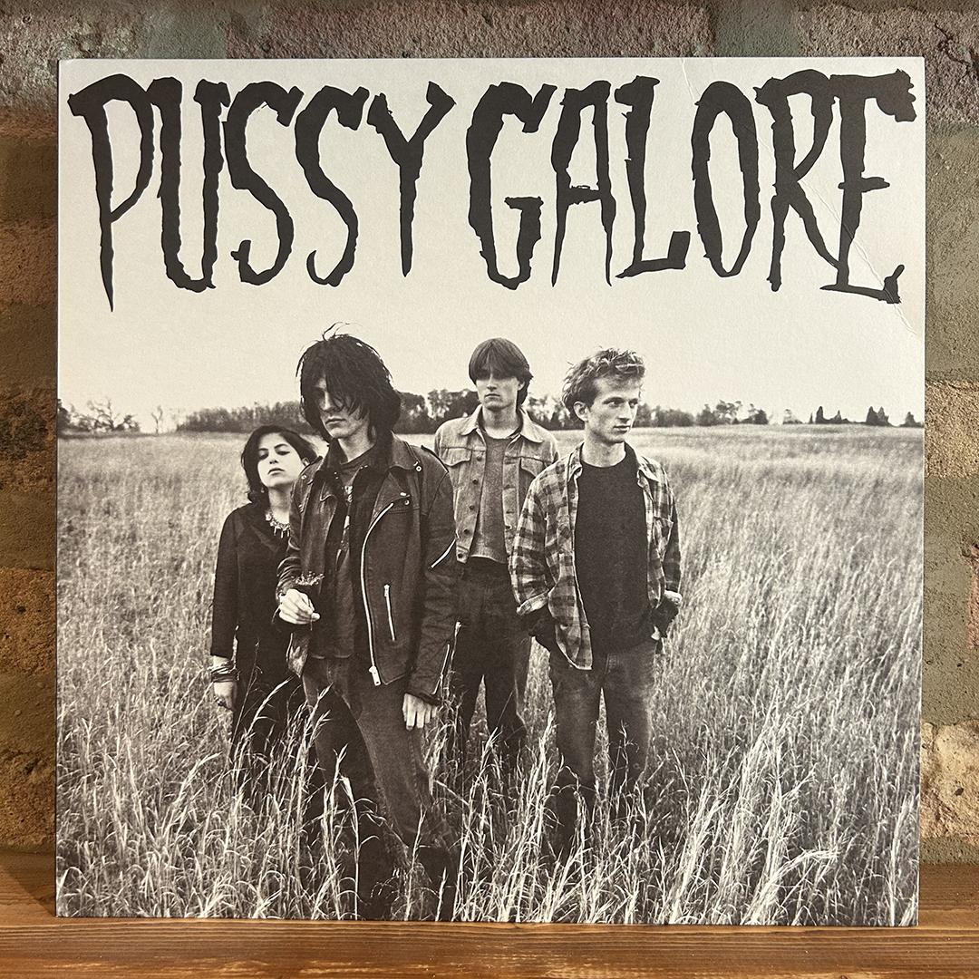Pussy Galore – Groovy Hate Fuck