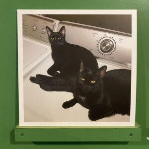 Sam Prekop and John McEntire ‎– Sons Of (White Vinyl)