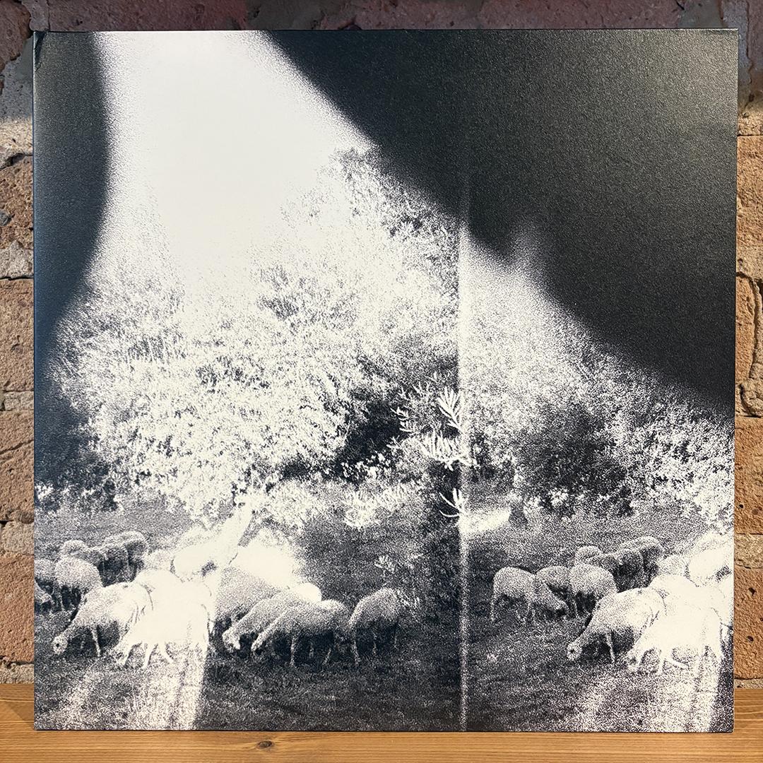 Godspeed You! Black Emperor* – Asunder, Sweet And Other Distress