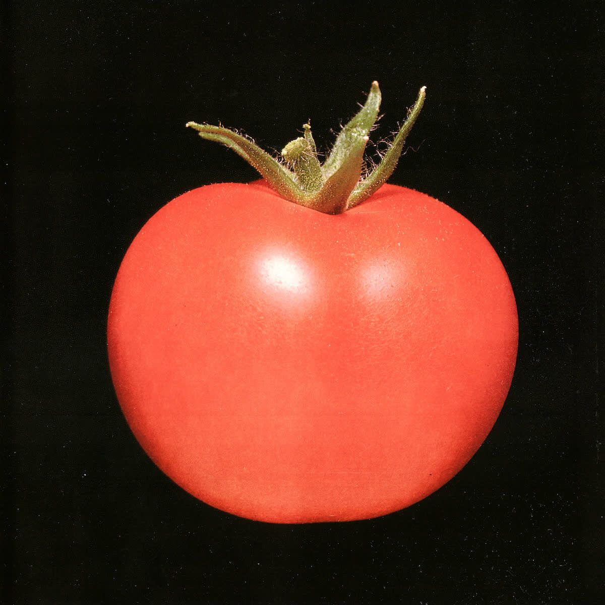 Chronophage - S/T