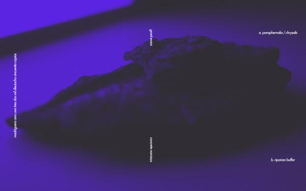 Grant Evans – Concrete Narcissus