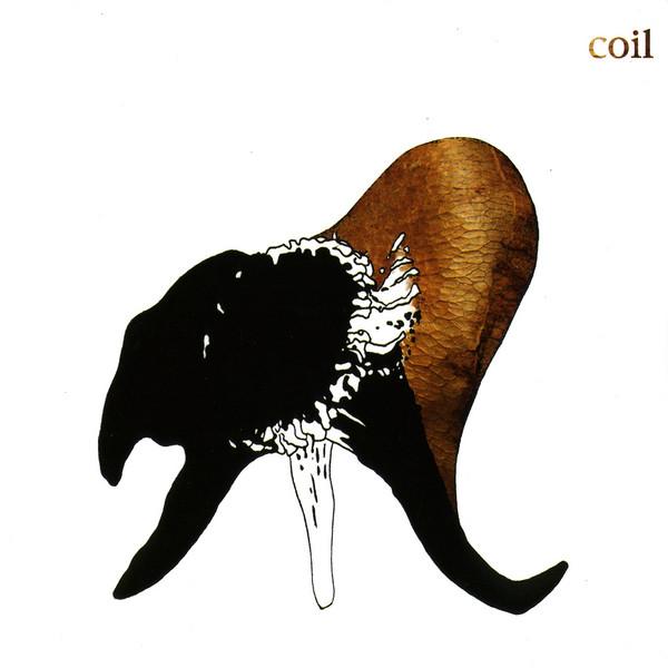 Coil – Black Antlers