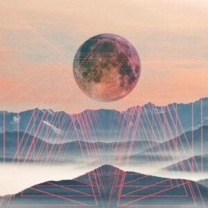 Black Bug – Reflecting The Light