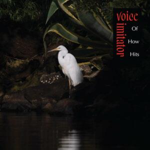 Voice Imitator - Of How Hits