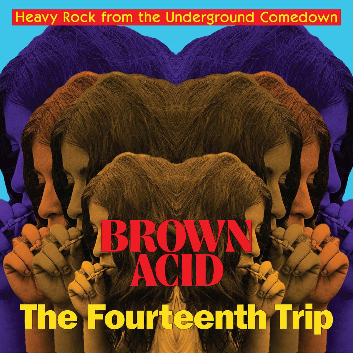 V/A - Brown Acid: The Fourteenth Trip