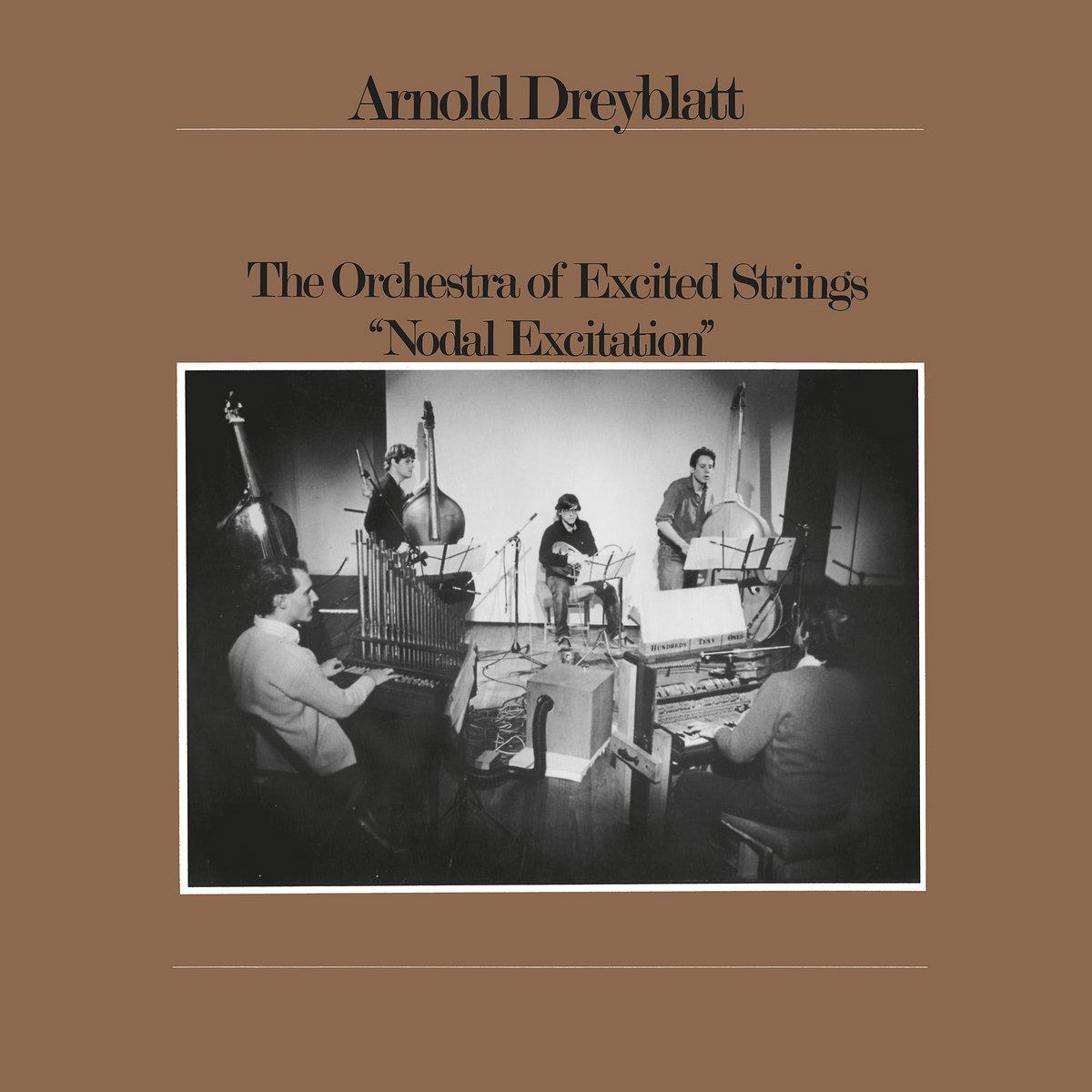Arnold Dreyblatt – Nodal Excitation