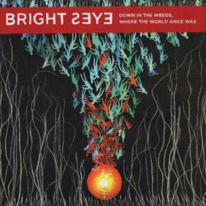 Bright Eyes - Down in the Weeds, Where the World Once Was